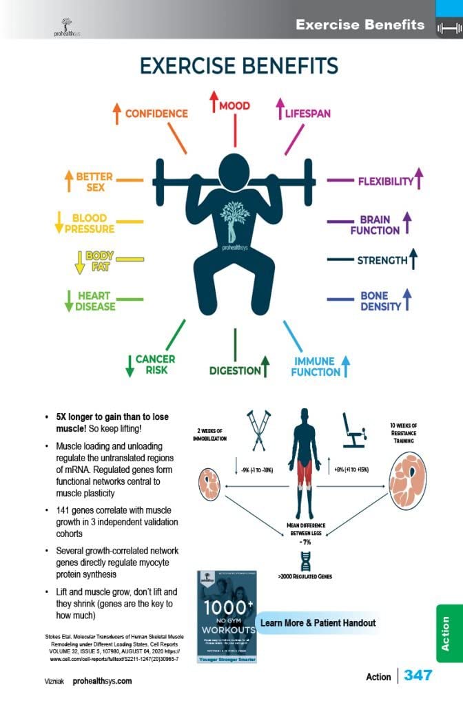Chiropractic Muscle Testing First Edition