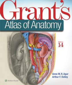 Grant's Atlas of Anatomy by Anne M R Agur