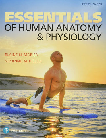 Essentials Of Human Anatomy & Physiology 12th Edition (USED) by Elaine N. Marieb