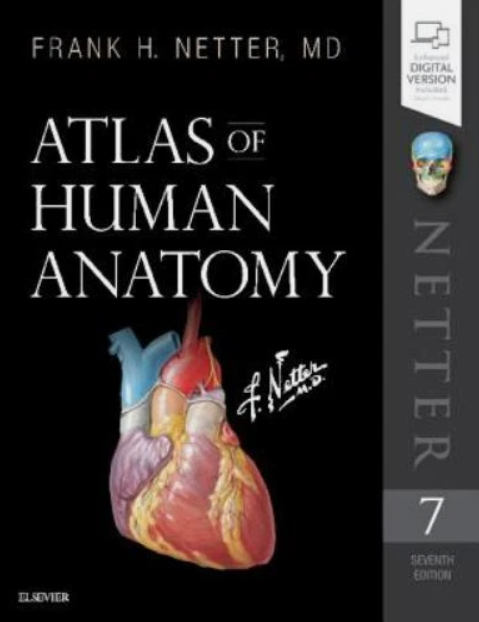 Netter’s Atlas Of Human Anatomy 7th Edition