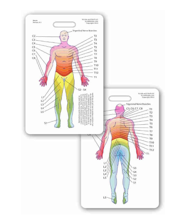 Neuro Dermatone Badge Reference Card