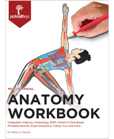 Anatomy Workbook - Vizniak
